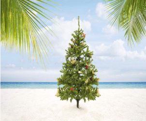 8x10 Tropical Christmas backdrop