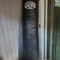 Kickboxing Punching Bag