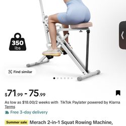 At-home Workout Portable Squat Machine & Stepper 
