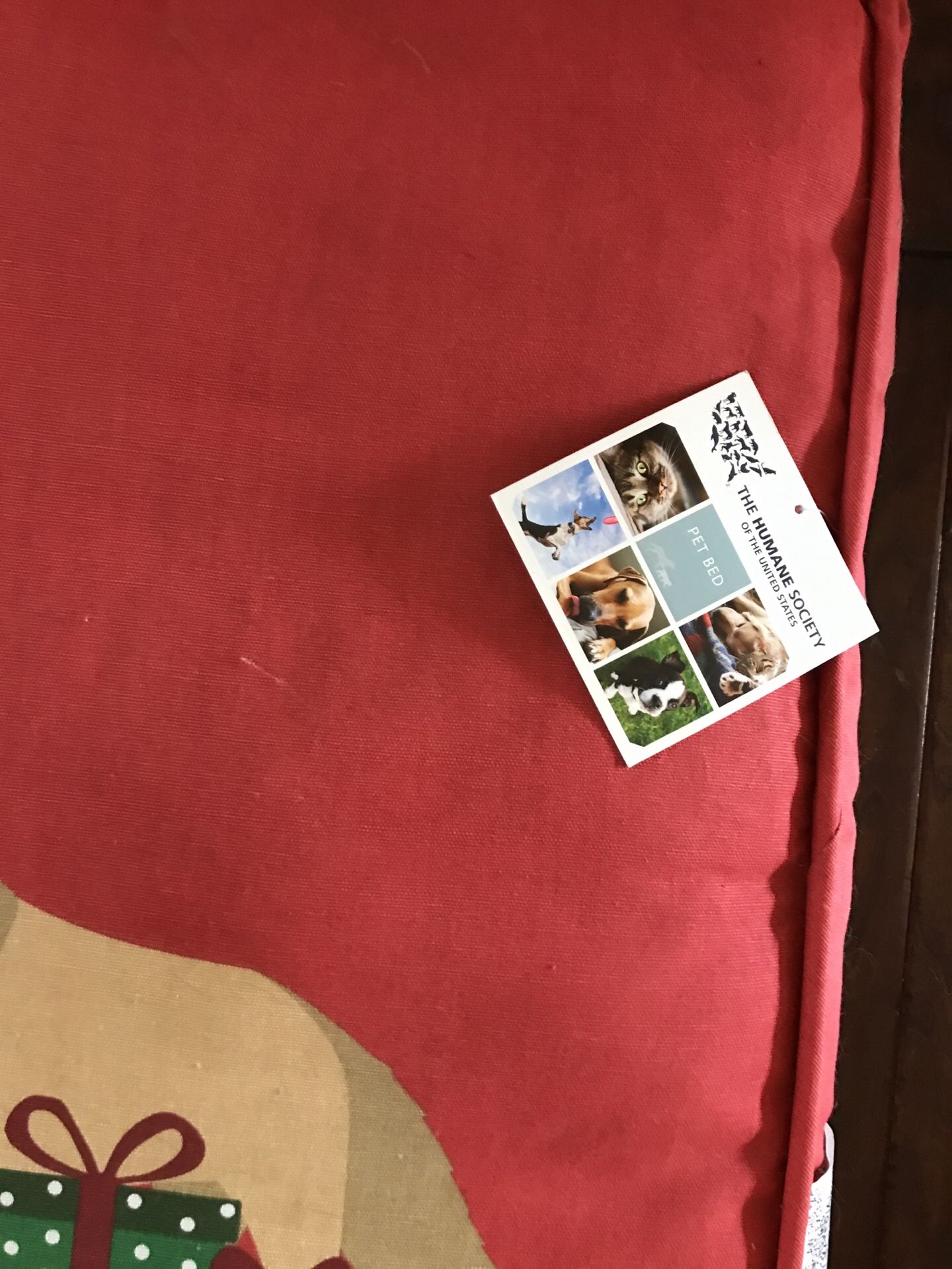 dog bed