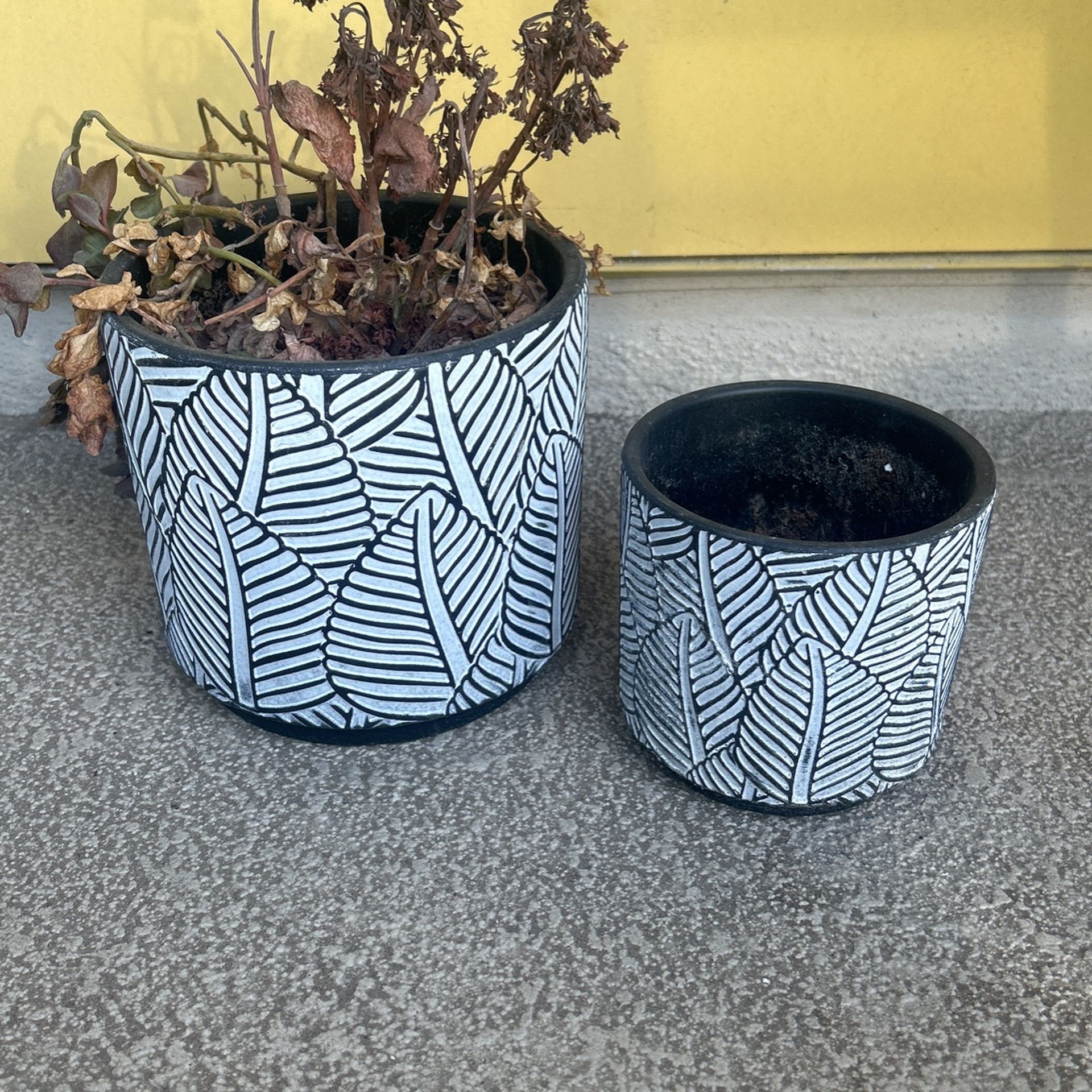 Plant Pots 