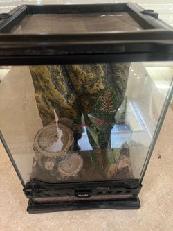 Exo terra reptile enclosure