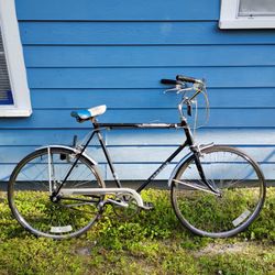 Bike/ Bicycle Projects Trek Schwinn Free Spirit