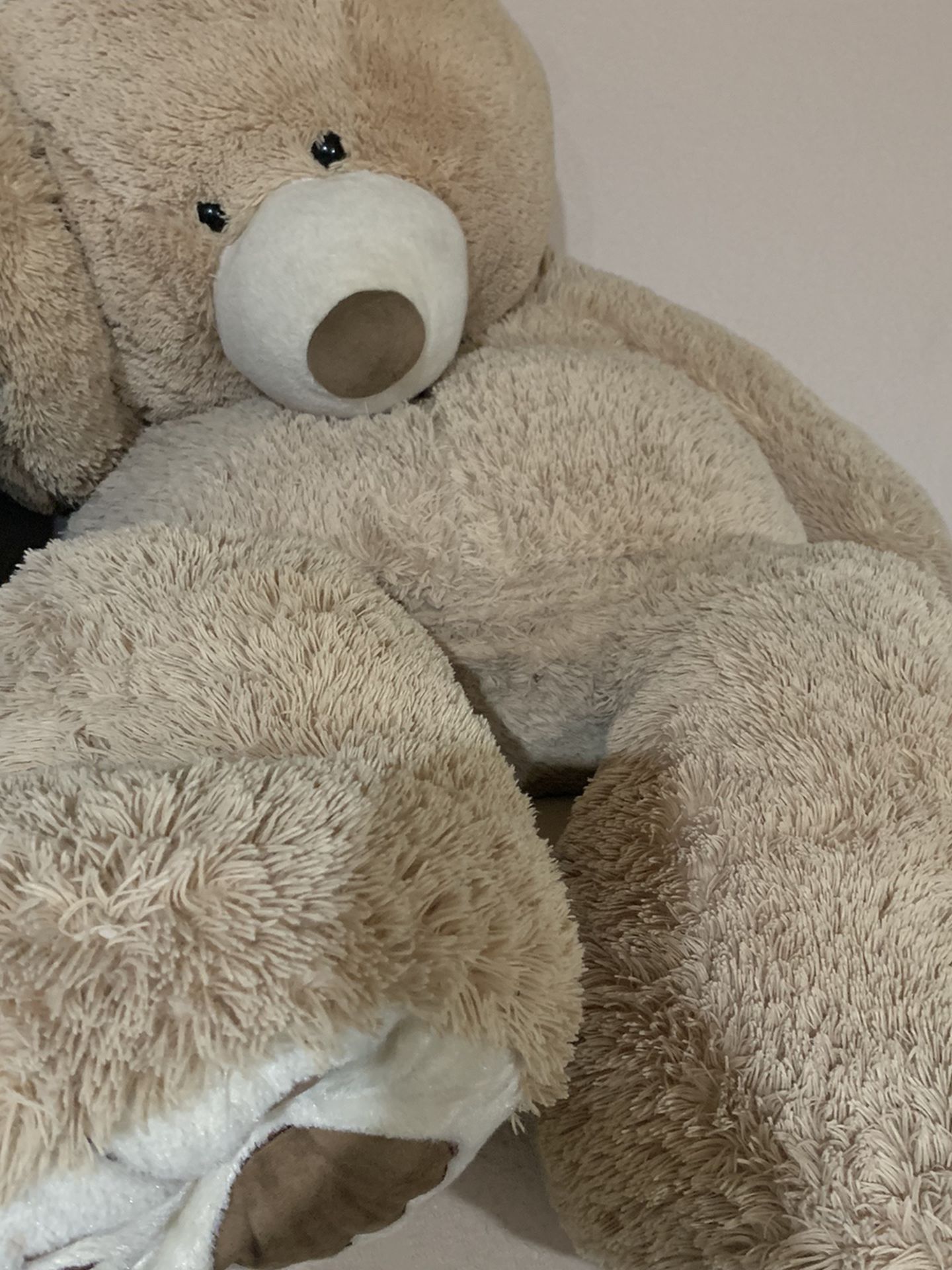 Large 5 Foot Tall Teddy Bear