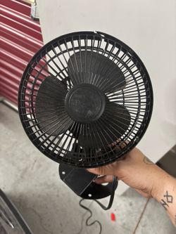 Fan