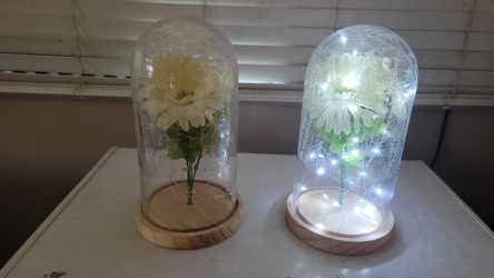 2 Lighted flower vases