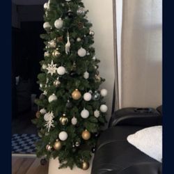 National Tree Company First Tradition 6" Rowan Pencil Slim Artificial Christmas Tree 