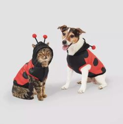 Dog XL Ladybug Costume-Decatur And Tropical