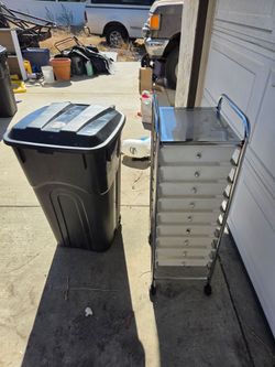 32 gallon trash can with lid and portable  storage with wheels excellent for kids school books both very good condition...$14 each $25 for both in upl