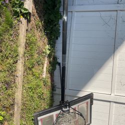 Real Outdoor Portable Basketball Hoop
