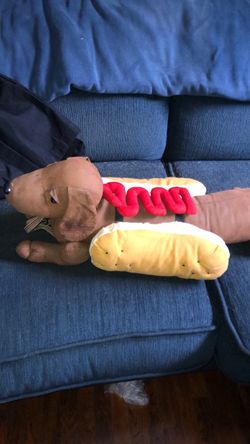 Hot dog with ketchup pet costume