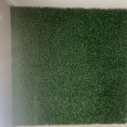 Boxwood Hedge Panels backdrop! 80x80 - Excellent Condition!