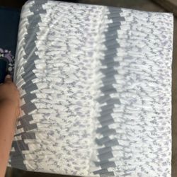 Millie Moon Diapers