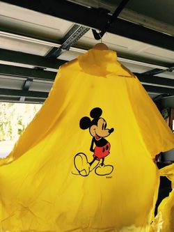 Disney Poncho