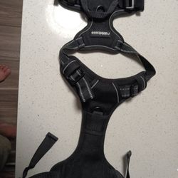 Dog Harness M
