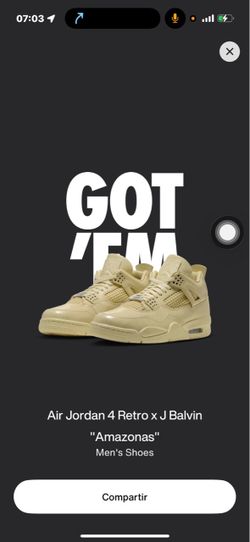 Air Jordan 4 x j balvin