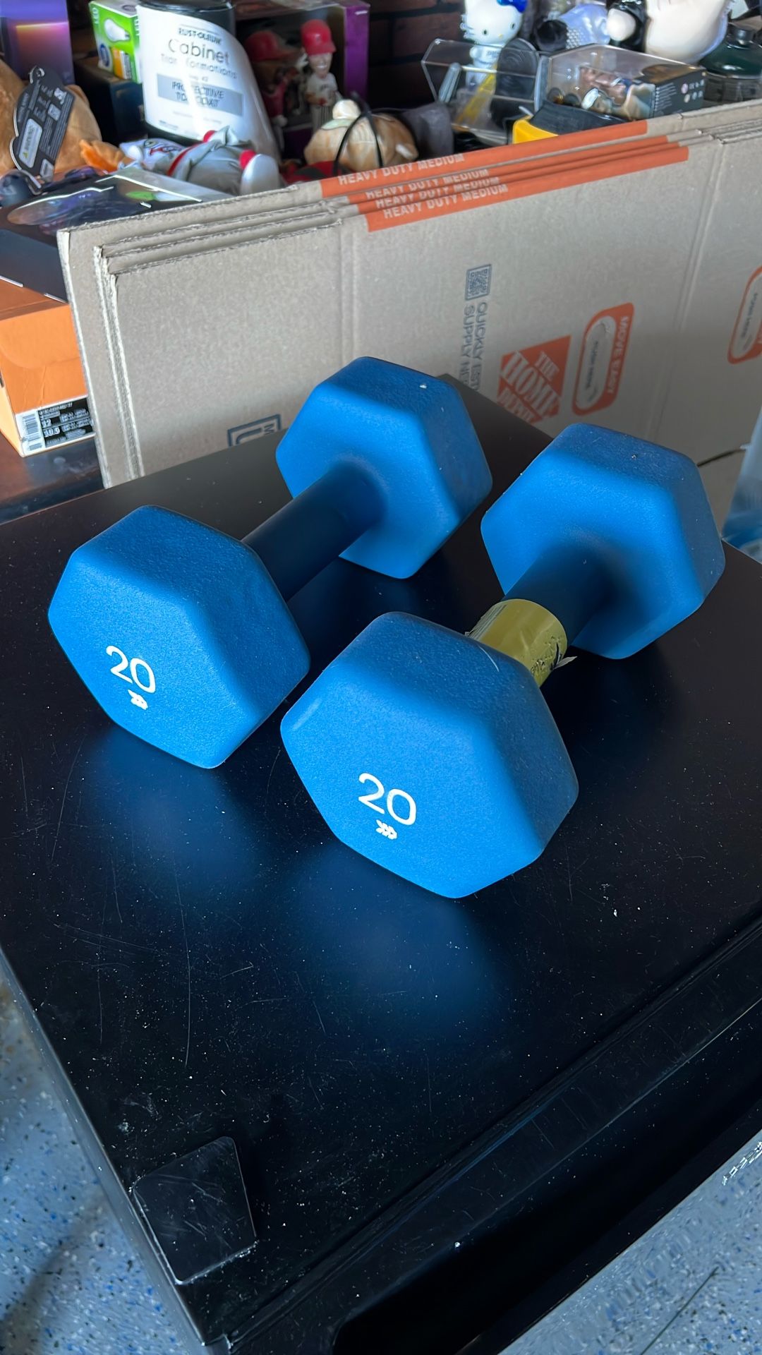 20lbs Dumbbells