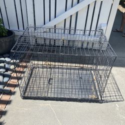 Free XL Dog kennel