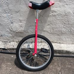 Mono Wheel Bike