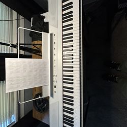 Digital Piano Alesis Recital 88key