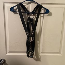 Leather Harness 