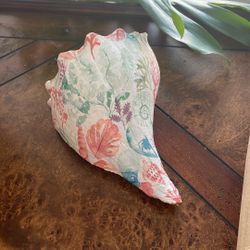 Conch Shell Decoupage Hand Made 