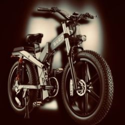 Electric Bike