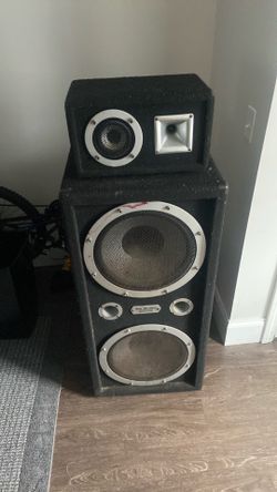 Party speaker