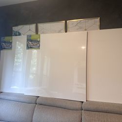 Canvases New (3 Large And 5 Small)