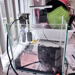 3gal Fish tank