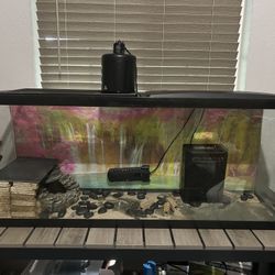 Turtle Tank