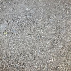 Chicken  Manure  Fertilizer