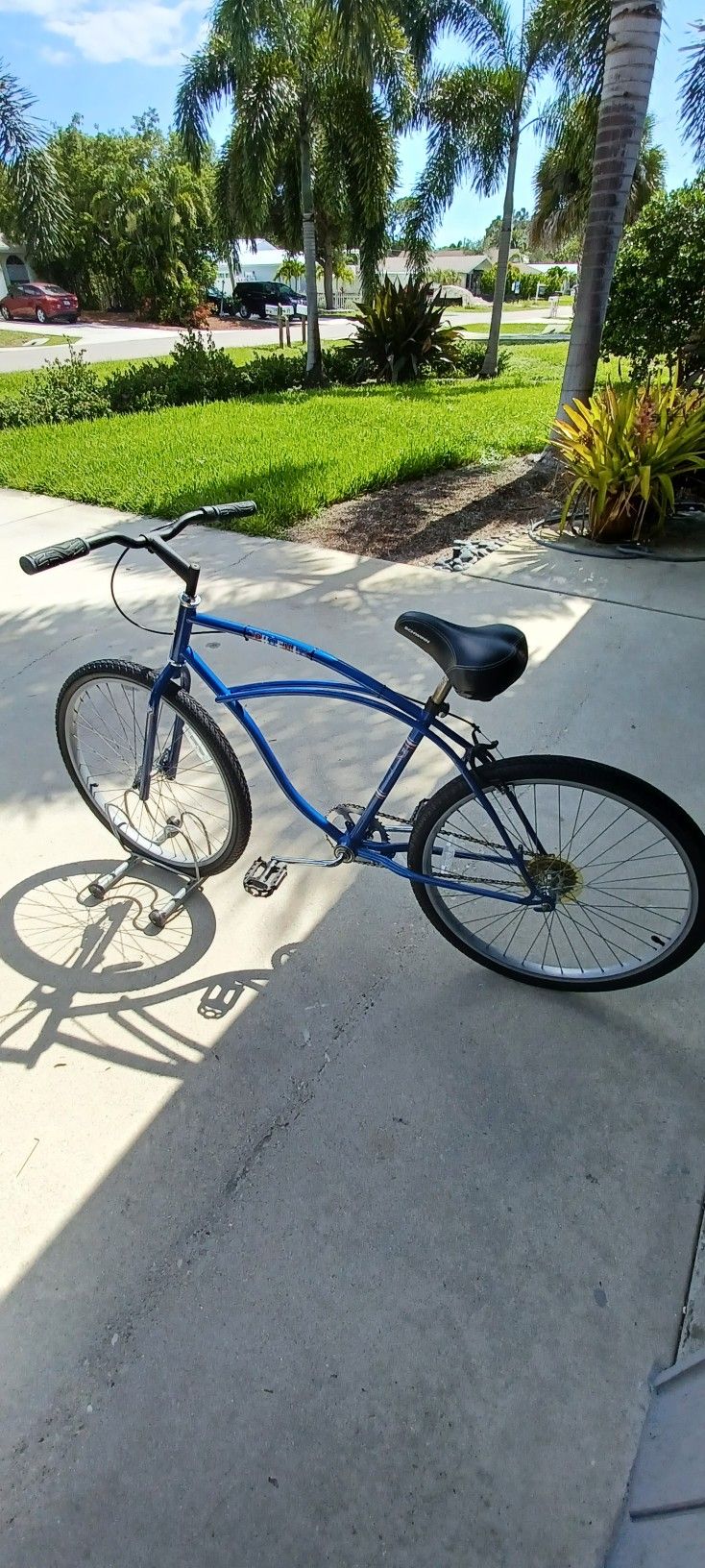 Phoenix Bike RARE