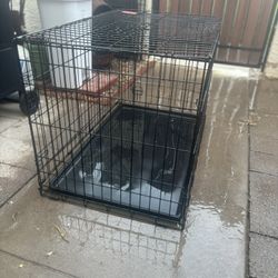 Dog Kennel And Sectional Gate