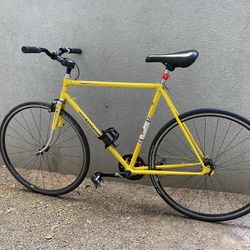 Peugeot 54” Single speed Bike
