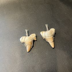 Shark Teeth Pendant