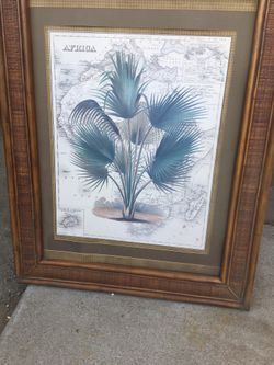 Picture Africa map with palm.