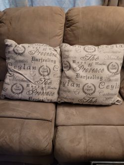 3 Couch Cushions (both for $8, the third one is free) 