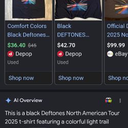 Deftones 2025 Tour Shirt $25