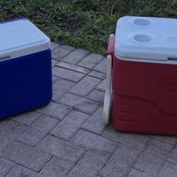 Coolers Perfect For Summer 