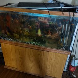 Aquarium 100 Gallon With Canister Filter,Hanging Filter. Light But Burned Out