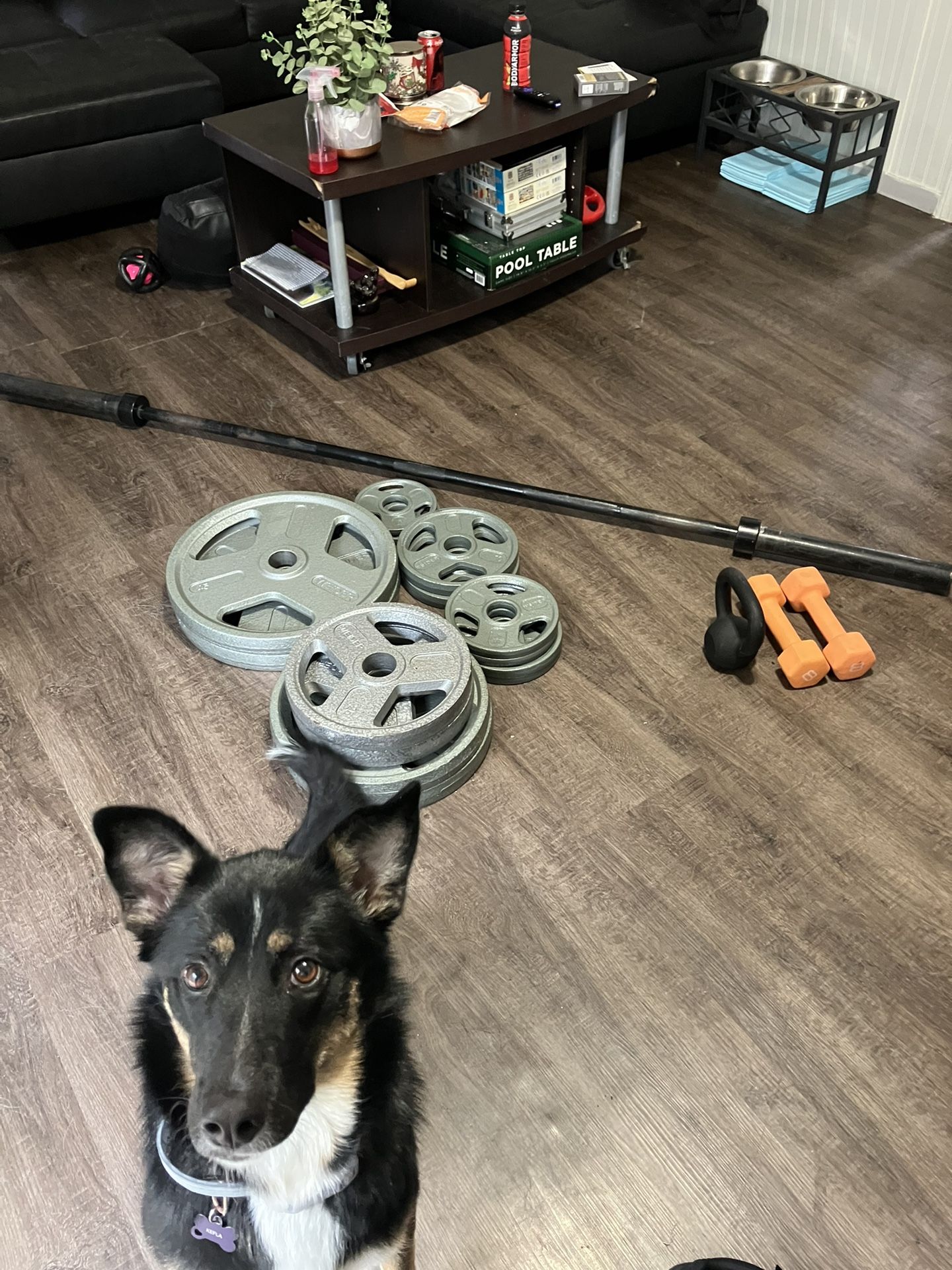 Barbell & Weight Set