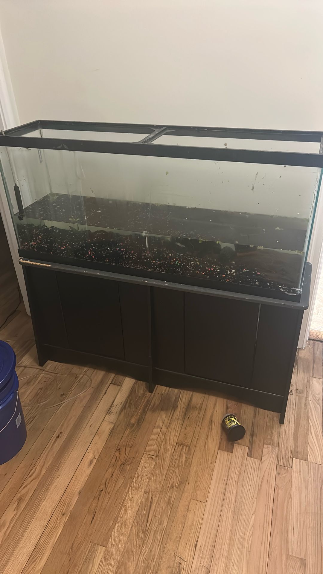 55 Gallon Aquarium And Stand
