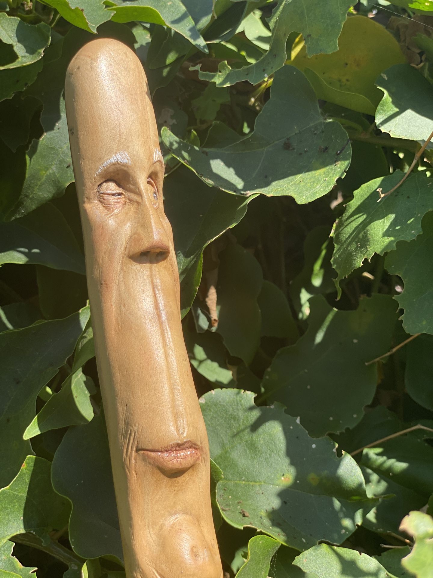 WALKING Stick Hand Carved Josh Carte 52"