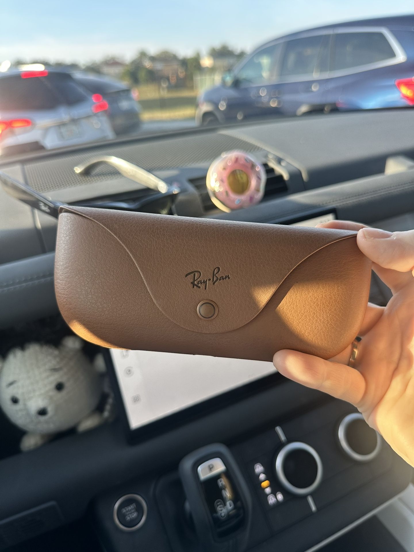 Rayban Meta Sunglasses