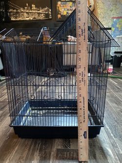 Bird Cage