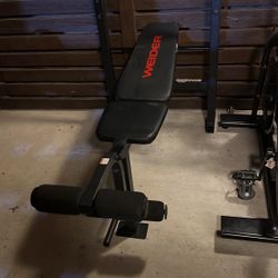 Werner Weight Bench