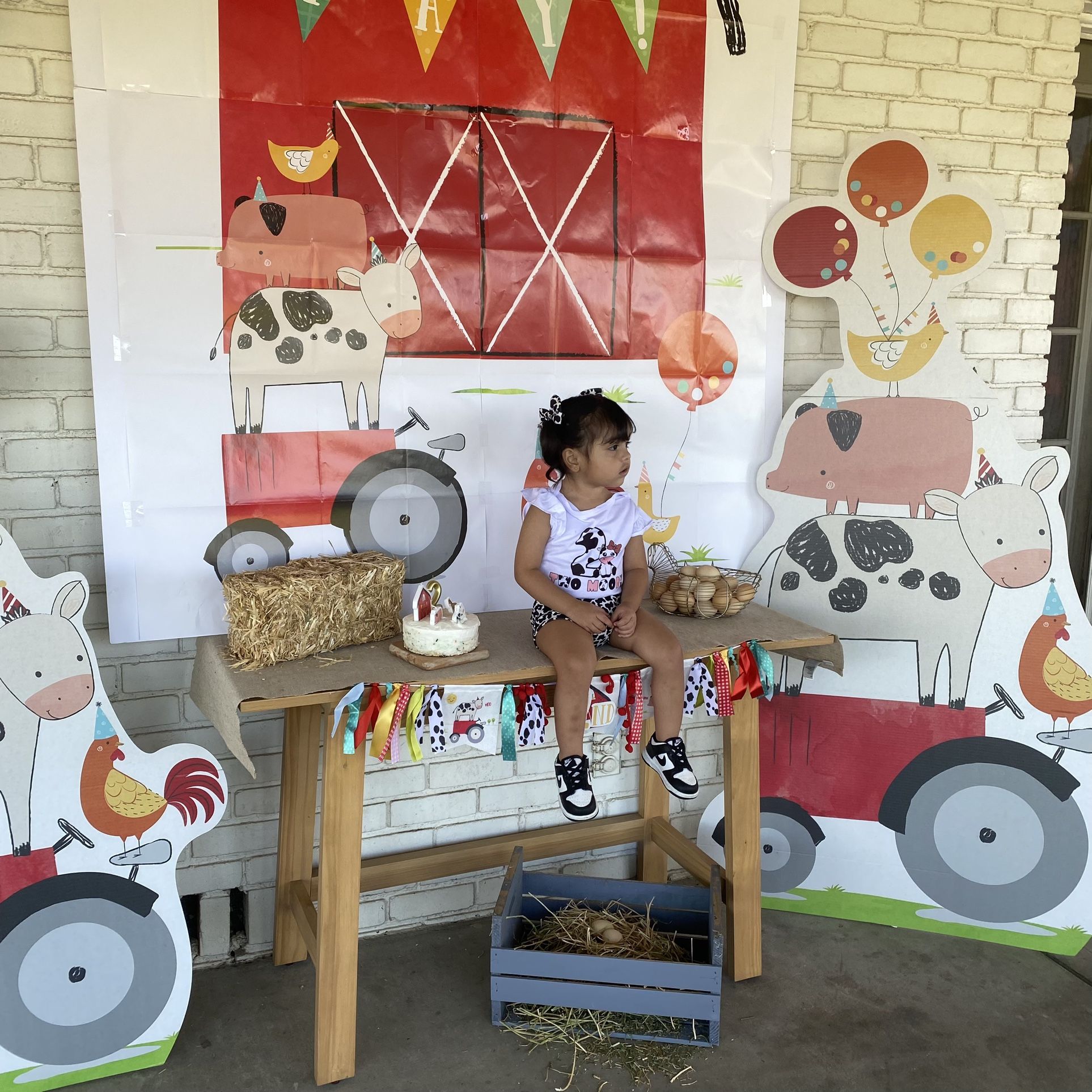 Barnyard Party decorations