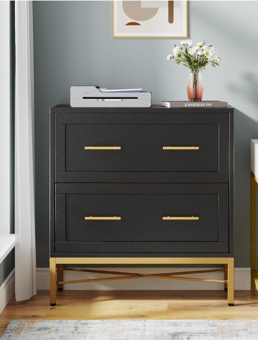 LITTLE TREE Modern 2 Drawer File Cabinet, Large Storage Cabinets Printer Stand for Home Office, Black