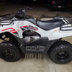 2021 Kawasaki Brute Force 300